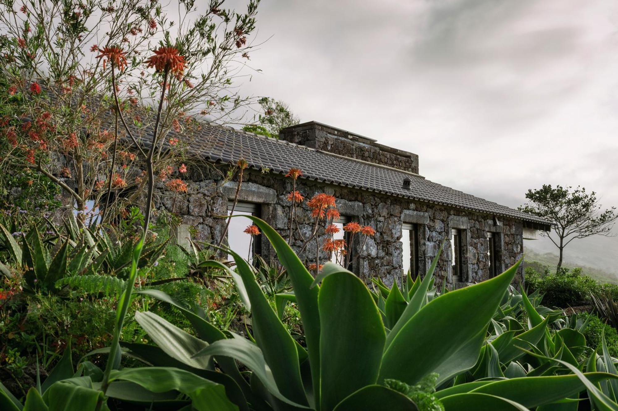 Lava Homes Santo Amaro  Exterior foto